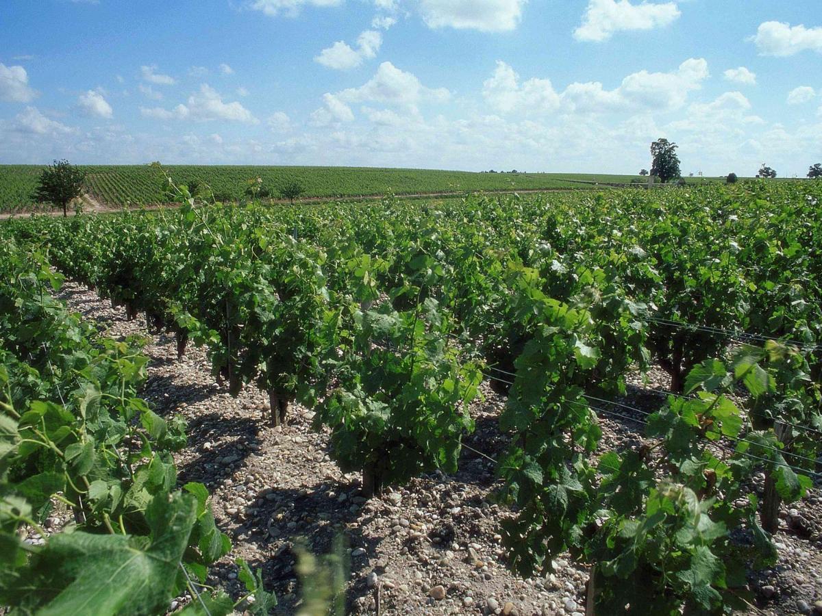 Ibis Bordeaux Saint Emilion Hotel Kültér fotó